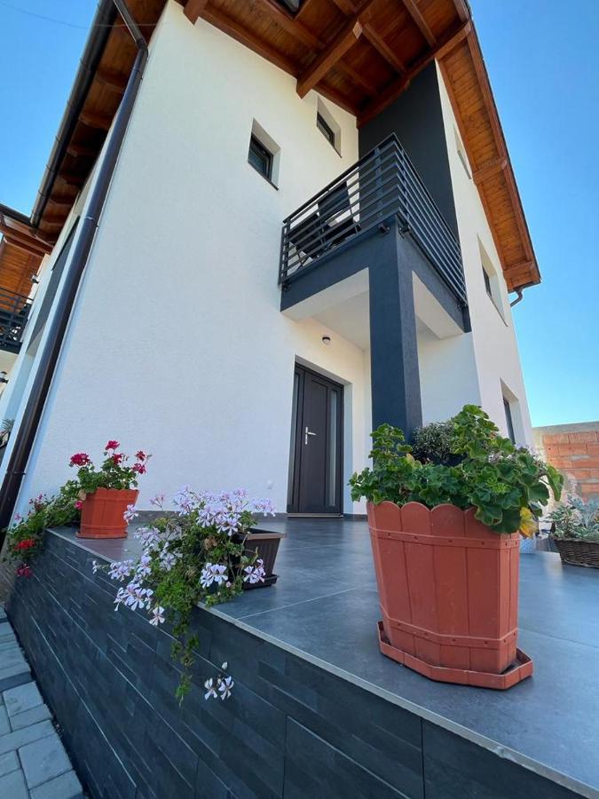 Casa Lucia Hotel Sibiu Ngoại thất bức ảnh